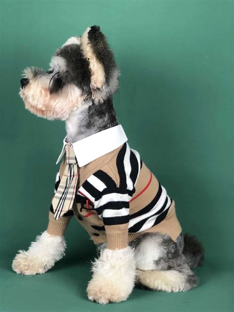 high end designer dog clothes